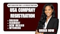 handle USA llc setup, filing, ein, and business docs online fast