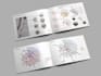 create site analysis, diagrams and architectural mapping