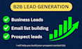 provide targeted b2b lead generation