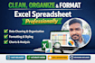 clean, organize, and format excel spreadsheets professionally