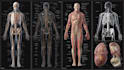 l draw exercise, medical and anatomy illustrations
