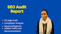 provide website SEO audit