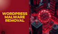clean and recover your hacked wordpress website