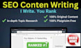 do SEO content writing and article writing for your website