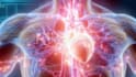 3d medical animation, 3d medical explainer video, surgery animation 3d anatomy