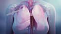 do 3d medical animation for immunotherapy, scientific cell moa explainer video