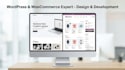 design and develop a custom wordpress website for your business