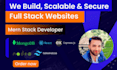 develop professional saas web applications
