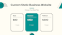 develop a custom static business website