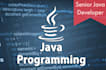 develop professional java applications