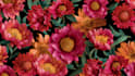 design seamless repeat pattern design