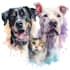 create a pet portrait, dog portrait cat portrait