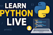 teach you python language