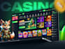 custom crash game website, p2e crypto game and bet website