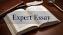 do argumentative essays, critique, reflective essays, rhetorical essays