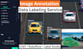 do image annotation, bounding box, polygon, and data labeling for ai, ml