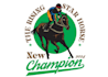 design professional horse logo