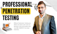 do professional penetration testing website security audit