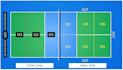 give you pickleball lessons