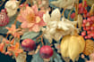 make a fabulous botanical fruit plants illustration