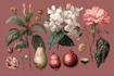 paint digital botanical fruit plants illustration