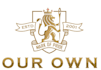 design awesome lion logo