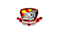 create colorful amazing truck website logo
