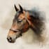 draw portrait of your horse