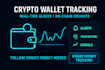 provide blockchain wallet tracking and professional on chain analysis