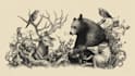 do hand drawn art illustration for you