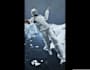 do vfx rotoscoping, roto, masking, chroma keying, green screen remove
