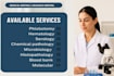 assist you in professional research writing