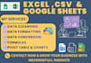 do data cleaning ,formatting and pivot tables ,charts