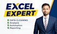 do professional excel data cleaning and formatting service
