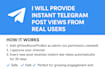 boost your telegram channel with instant views from real users