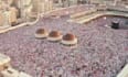 provide professional fatwa and islamic consultation