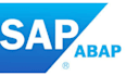 develop and fix sap abap programs for your busines