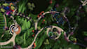 garden design and landscape architecture