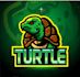 create high quality and beautiful turtle logo design
