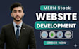 fix mern bugs and build a full mern website