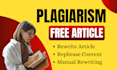 manually rewrite your articles into unique and plagiarism free content