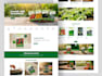 create a professional wix website for your business or startup