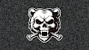 custom skull bear logo design  fierce, bold  unique emblem