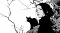draw black and white illustrations