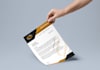 make custom premium letterhead design in 1 hour