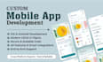 develop a cross platform mobile app using react native or quasar