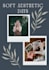 create aesthetic and modern posters designs