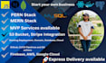 build professional pern and mern stack website application, website development