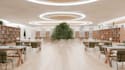 remodel modern library design,institutional interior ,cgi lobby render,classroom