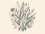 do botanical, mystic, logo illustration